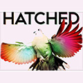 Pace University presents Hatched 2014. Fresh works. Freshmen.